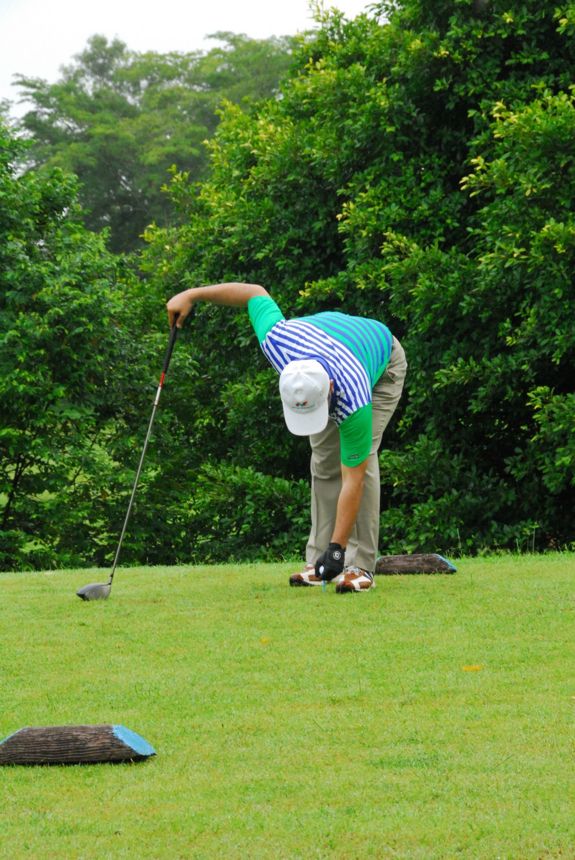 PRO15 157 GOLF DSC 0186.JPG